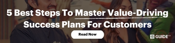 5 Best Steps To Master Value-Driving Success Plans For Customers